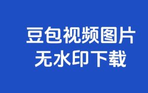 豆包视频图片无水印下载浏览器插件助手完整下载 + 安装教程